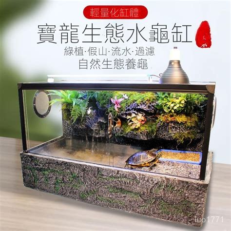 烏龜房子|【烏龜缸diy】最全烏龜缸布置、造景、換水總整理，。